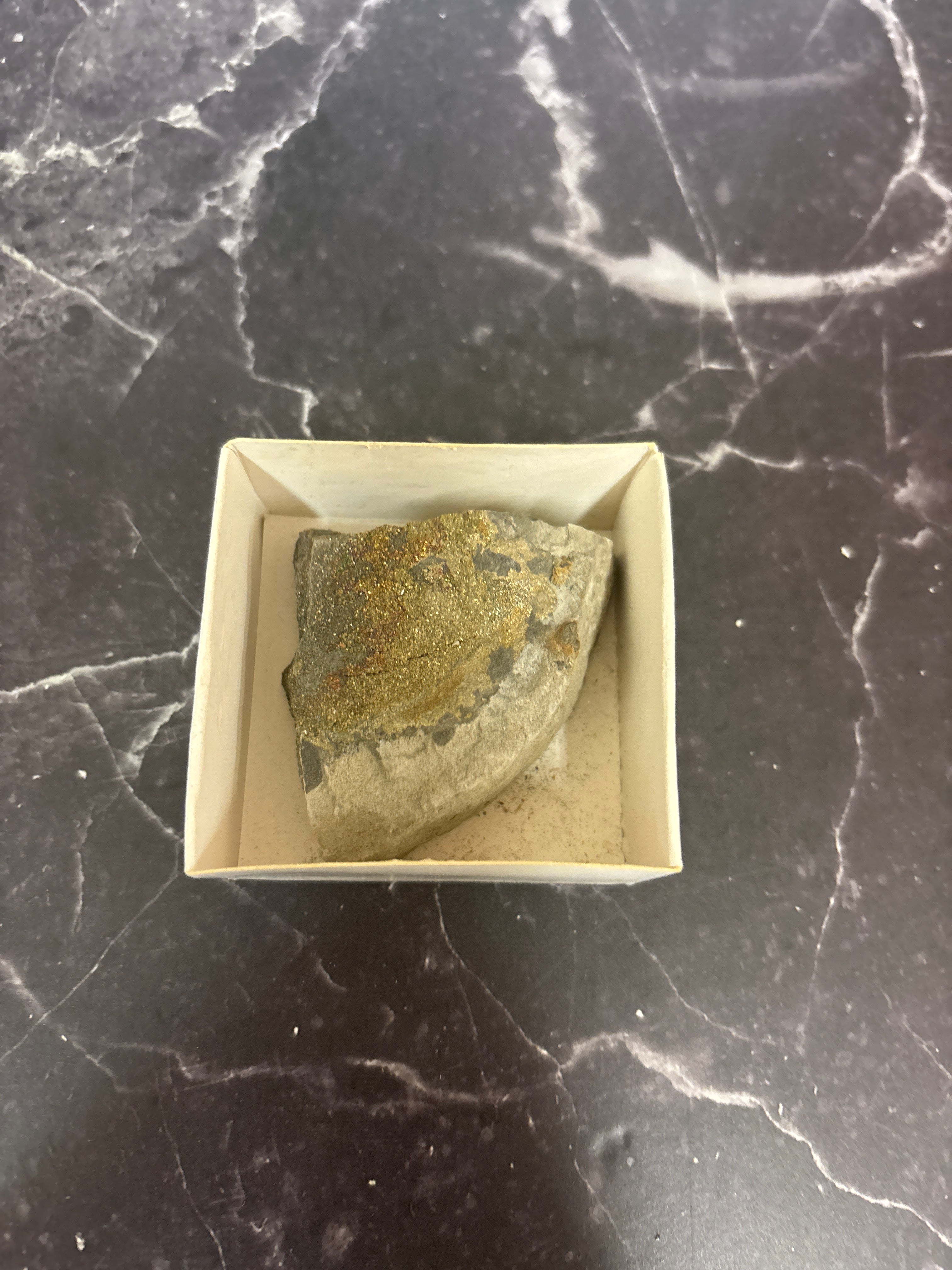 Rainbow Chalcopyrite