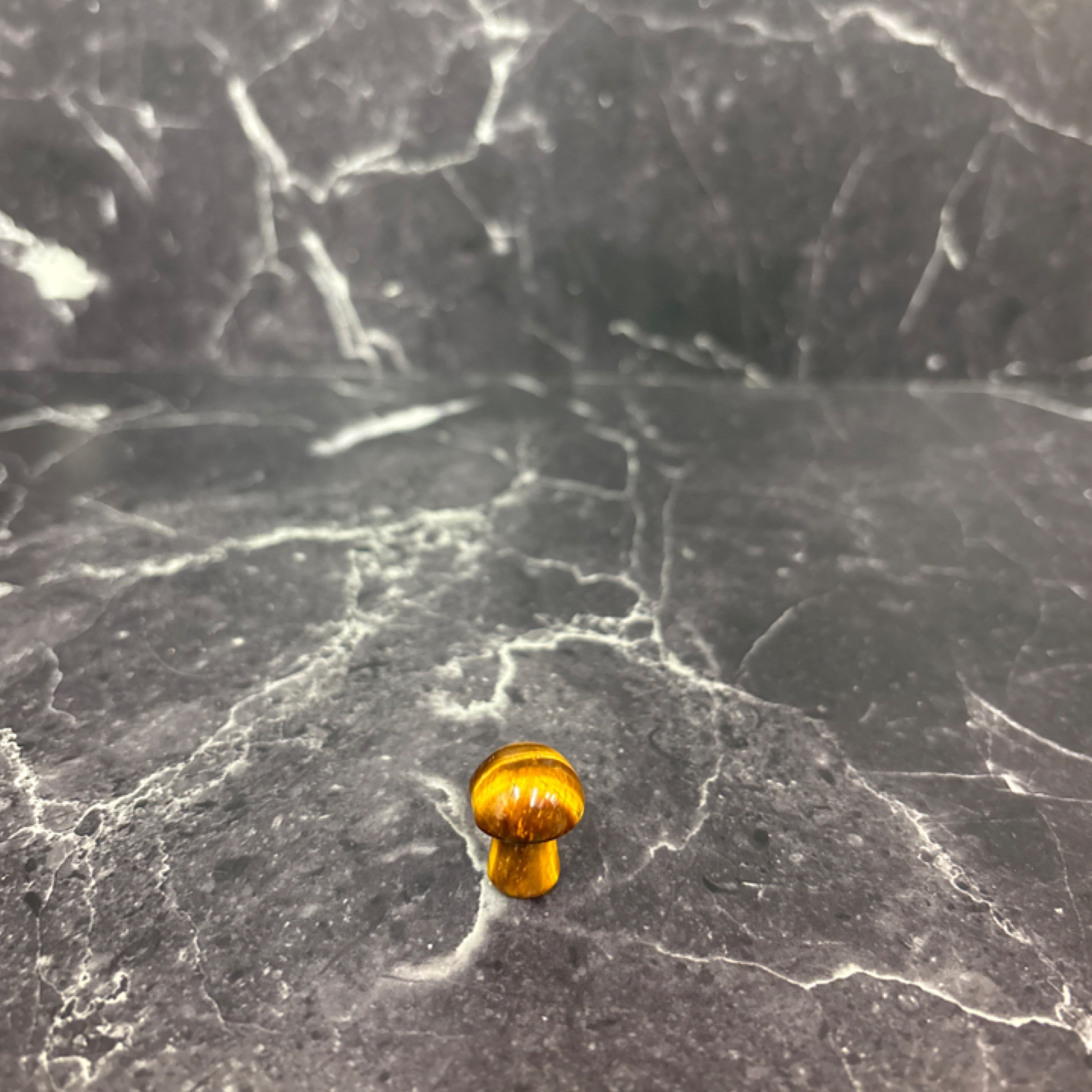 🍄 Tiger Eye Mushroom Crystal