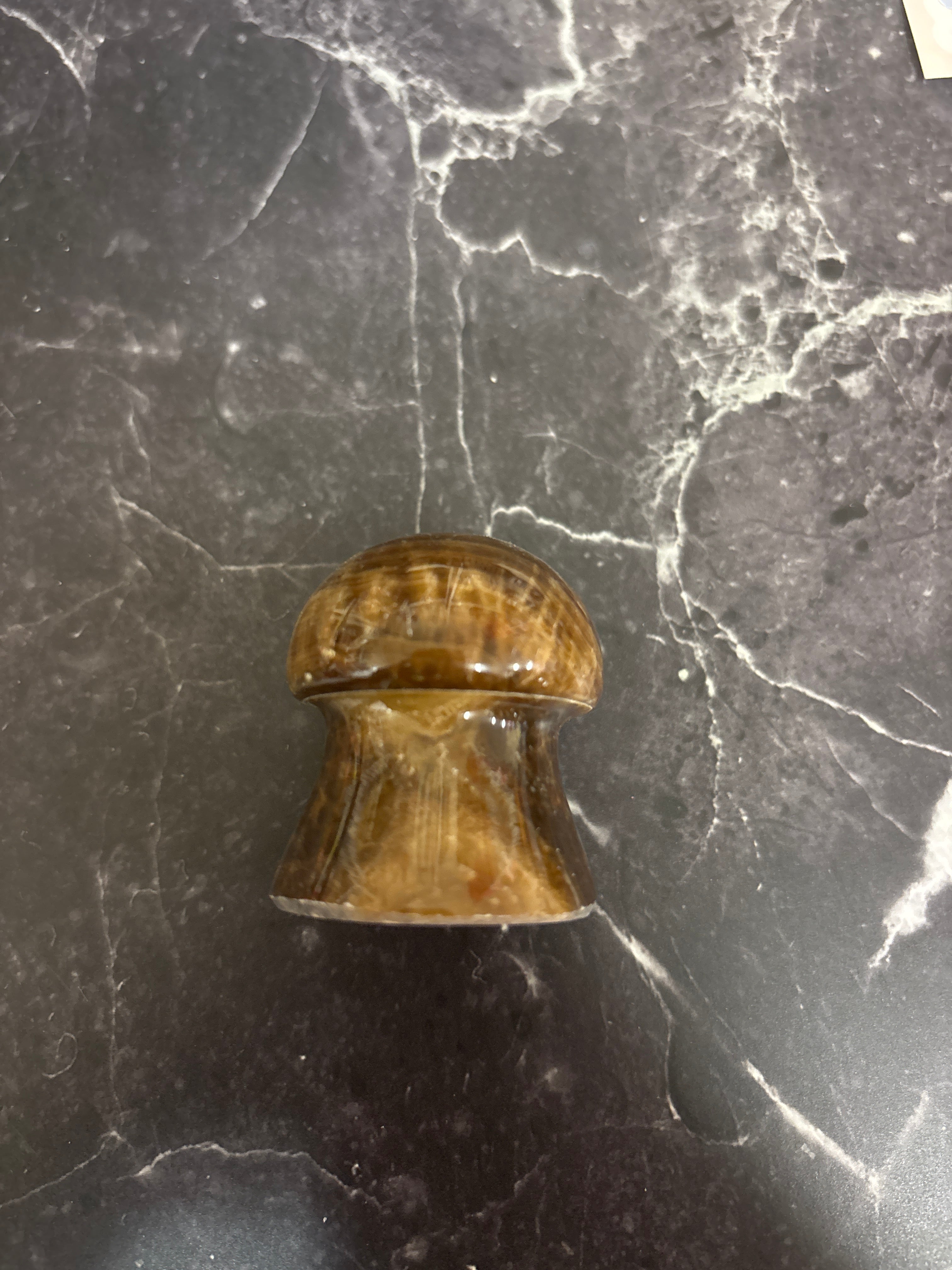Tiger Eye Mushroom